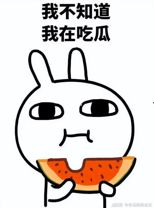 全网最火的吃瓜事件视频,全网热议！揭秘最火吃瓜事件幕后真相