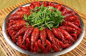 小姐姐吃龙瓜龙虾视频,小姐姐挑战大口吃香辣龙虾