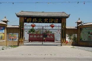 怀化学院吃瓜视频,揭秘校园生活趣味瞬间