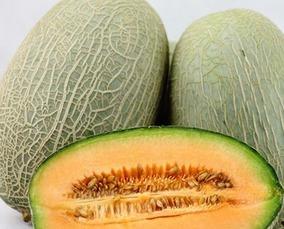 螳螂吃哈密瓜视频,一场生态界的趣味对决