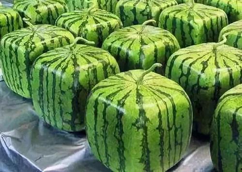 2025年第二大吃瓜视频,揭秘幕后真相与网友热议