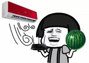 带你吃大瓜的拆箱视频,一探究竟！