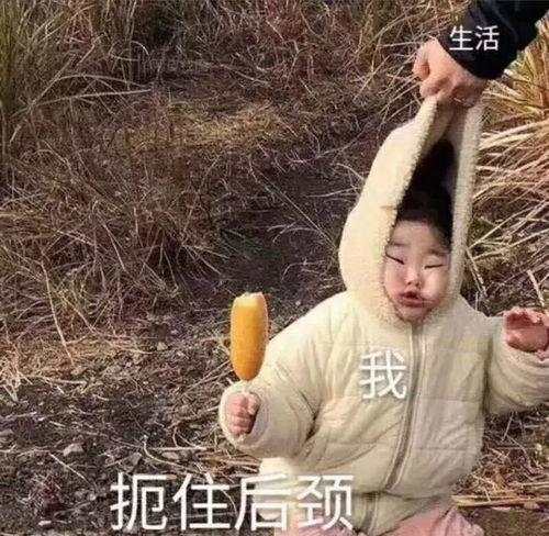 沙雕吃瓜爆料视频,娱乐圈幕后真相大曝光！