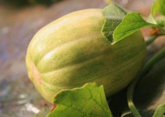 吃瓜原神开盒视频,吃瓜观众直呼过瘾！