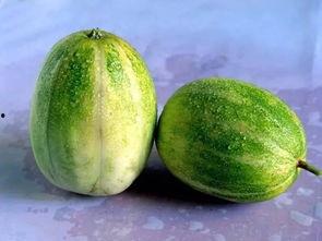 吃瓜原神开盒视频,吃瓜观众直呼过瘾！