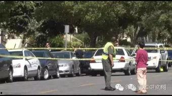 项城吃瓜事件最新进展视频,真相揭晓，疑云散去