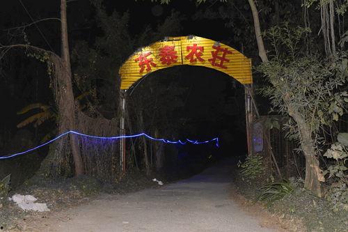 龙洞吃瓜事件视频大全,视频大全揭秘惊人真相