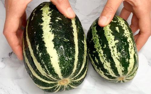 有什么吃瓜网站原视频