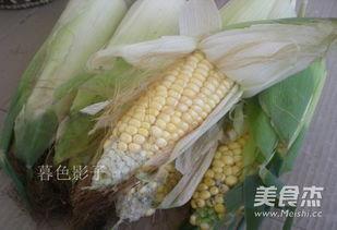 老吊瓜能煮着吃吗视频,探索传统食材的烹饪魅力