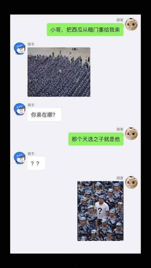 吃瓜视频搞笑文案沙雕版,沙雕文案笑料百出