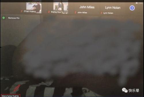 教授吃瓜事件视频大全集,视频大全集深度解析