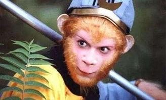 吃瓜博主孙悟空视频,揭秘娱乐圈背后的秘密