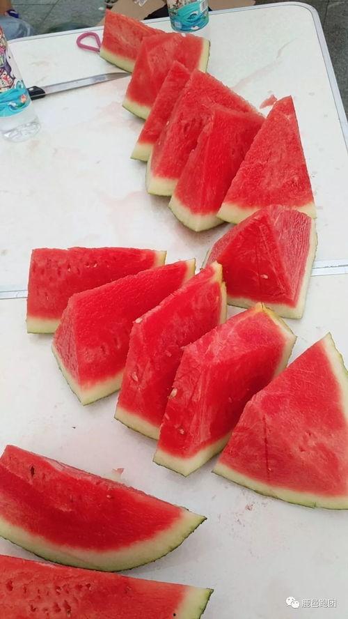 每日大赛吃瓜高清视频大全,高清视频大盘点