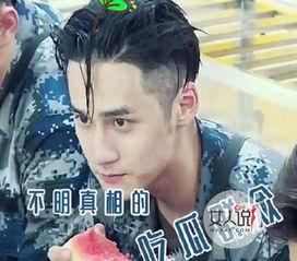 吃瓜男孩真帅视频大全集,全网热门视频合集精彩回顾