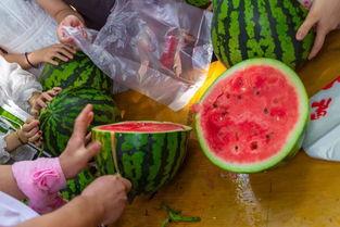 视频儿童吃瓜,萌娃欢乐吃瓜瞬间