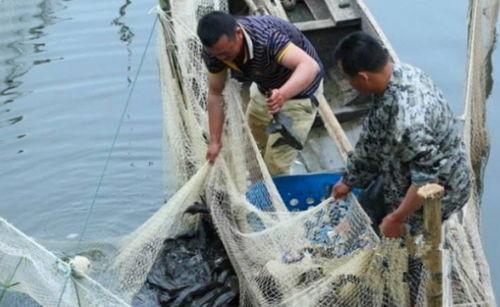 军演渔民吃瓜视频下载,吃瓜视频引发网友热议