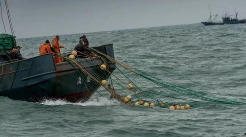 军演渔民吃瓜视频下载,吃瓜视频引发网友热议