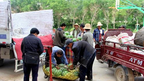 石佛寺镇吃瓜事件视频曝光,视频曝光揭示惊人真相