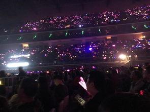 吃瓜小熊演唱会视频,欢乐视听盛宴，燃情夏日之夜