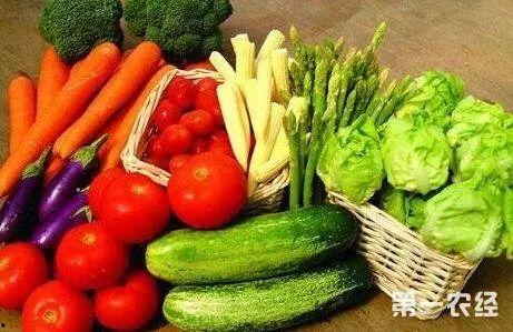 大瓜美食吃牛头视频下载,揭秘牛头视频下载攻略，尽享美味瞬间